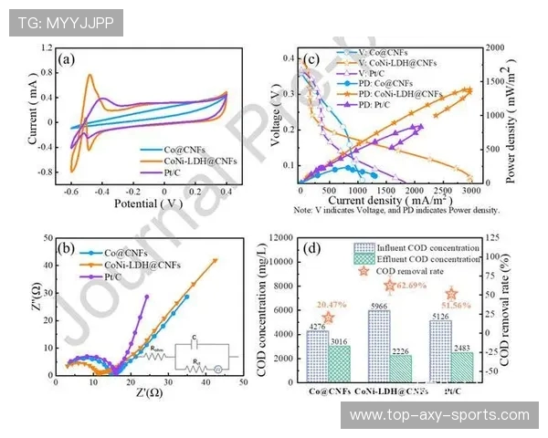 重庆羽毛球队整体压制战术解析及其在比赛中的应用与效果分析